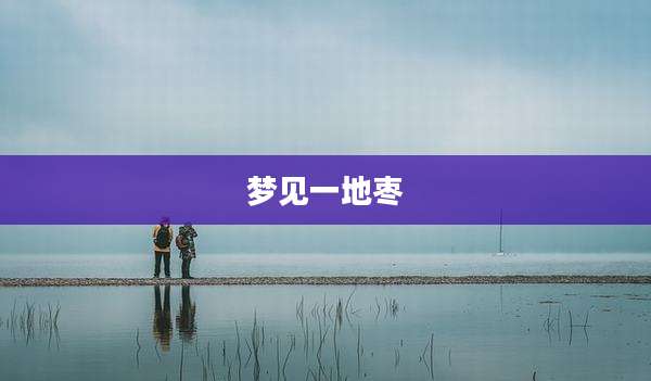 梦见一地枣