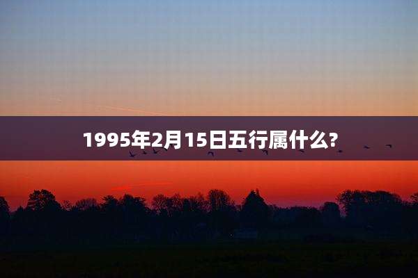 1995年2月15日五行属什么?