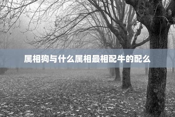 属相狗与什么属相最相配牛的配么
