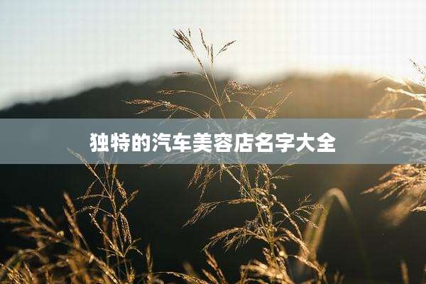独特的汽车美容店名字大全