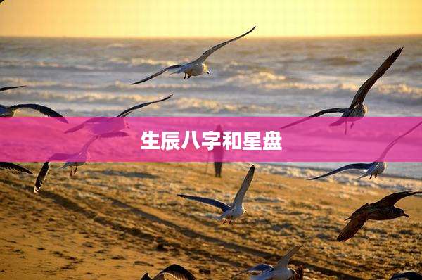 生辰八字和星盘