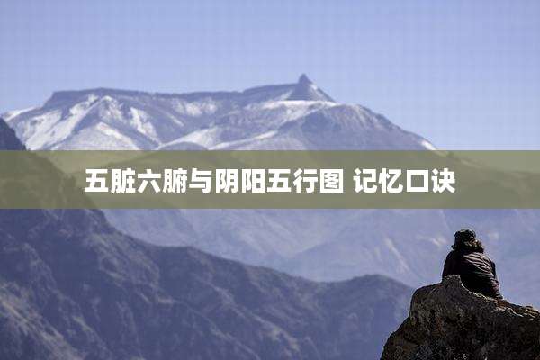 五脏六腑与阴阳五行图 记忆口诀