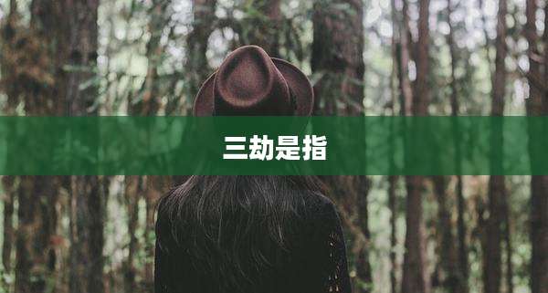 三劫是指