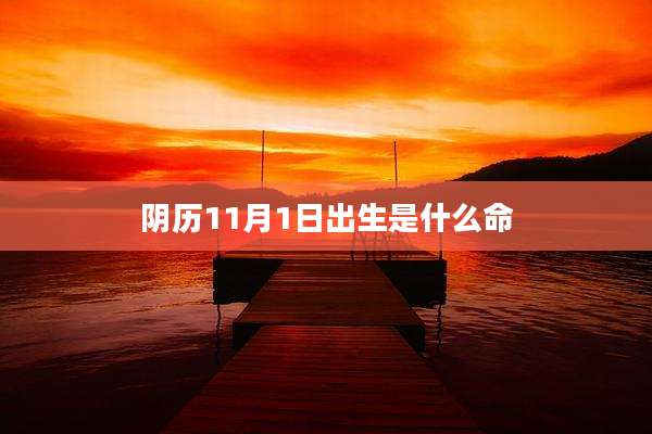 阴历11月1日出生是什么命