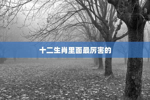 十二生肖里面最厉害的
