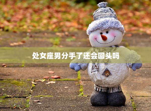 处女座男分手了还会回头吗