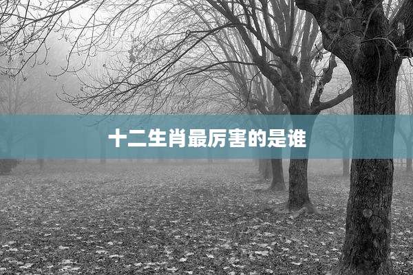 十二生肖最厉害的是谁