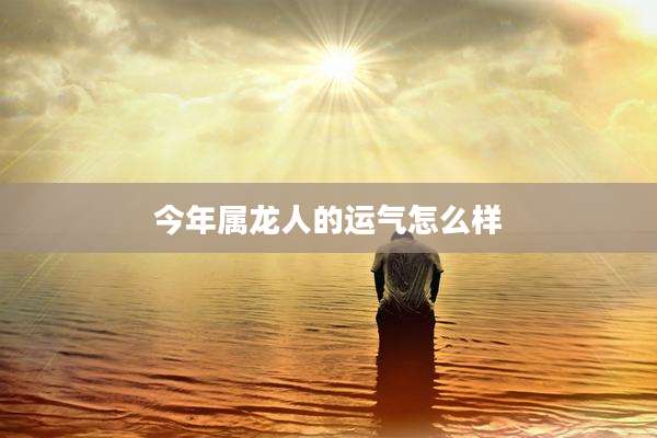 今年属龙人的运气怎么样