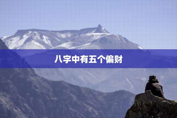 八字中有五个偏财