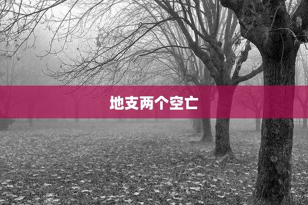 地支两个空亡