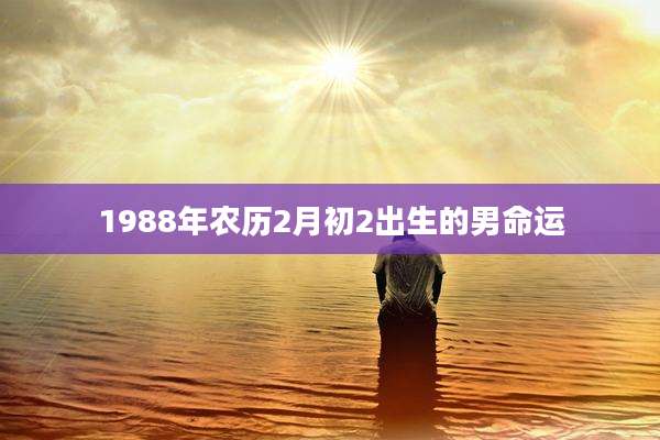 1988年农历2月初2出生的男命运