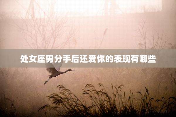 处女座男分手后还爱你的表现有哪些
