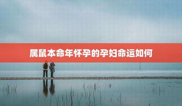 属鼠本命年怀孕的孕妇命运如何