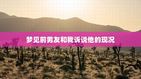 梦见前男友和我诉说他的现况