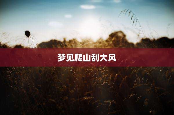 梦见爬山刮大风
