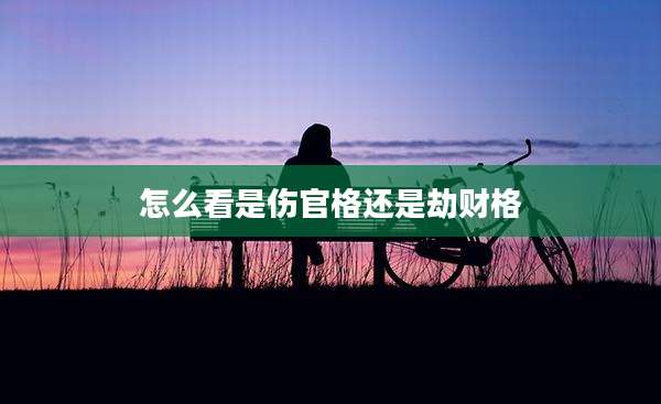 怎么看是伤官格还是劫财格