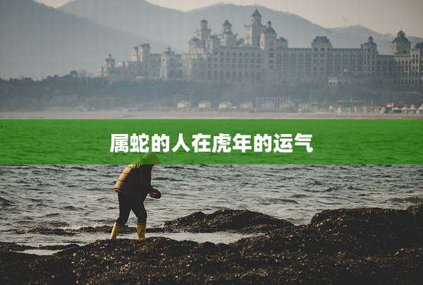 属蛇的人在虎年的运气