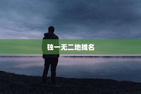 独一无二地摊名