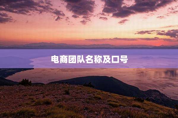 电商团队名称及口号