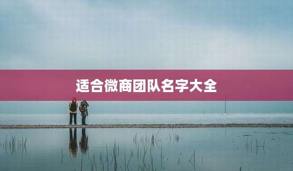 适合微商团队名字大全