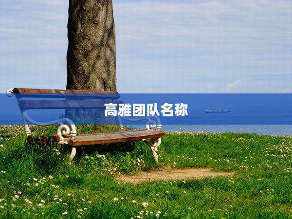 高雅团队名称