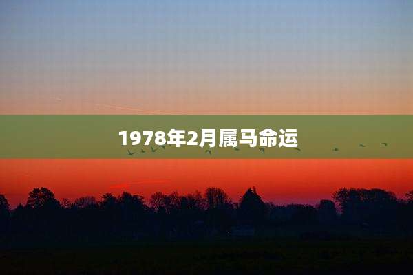 1978年2月属马命运