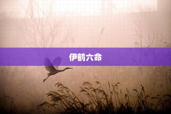 伊鹤六命