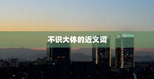 不识大体的近义词