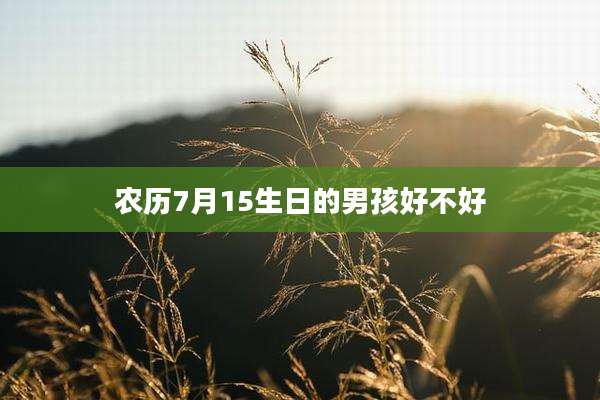 农历7月15生日的男孩好不好