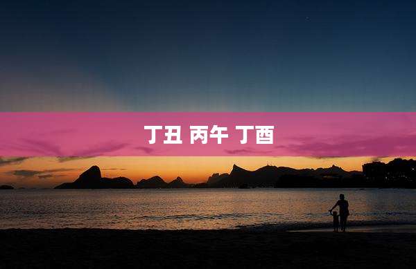 丁丑 丙午 丁酉