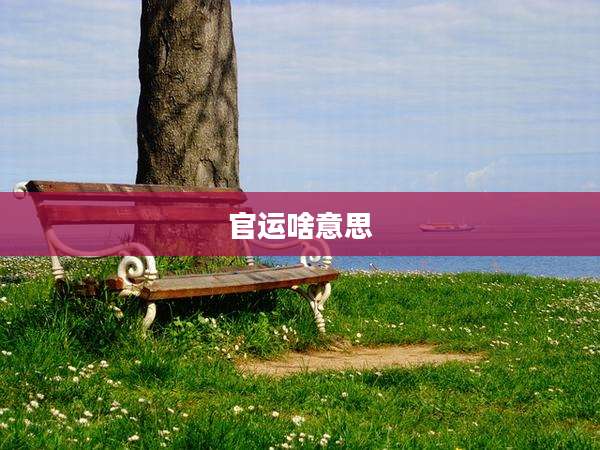 官运啥意思