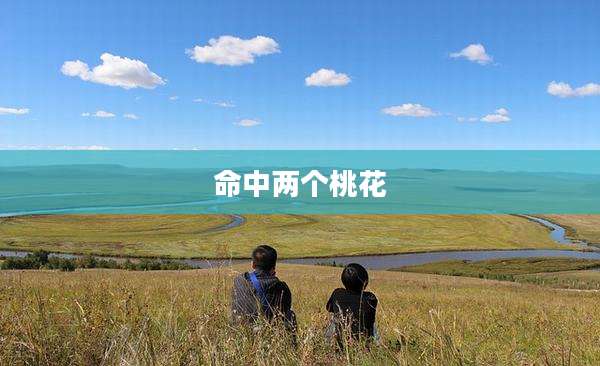 命中两个桃花