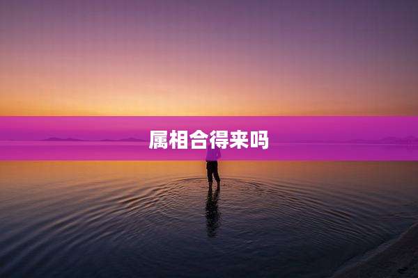属相合得来吗