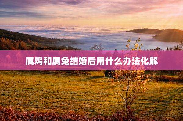 属鸡和属兔结婚后用什么办法化解