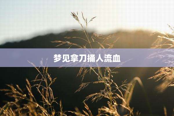 梦见拿刀捅人流血
