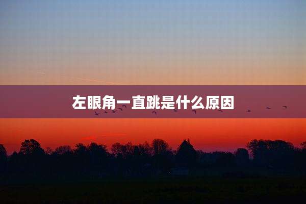 左眼角一直跳是什么原因