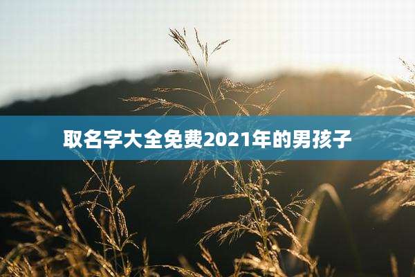 取名字大全免费2021年的男孩子