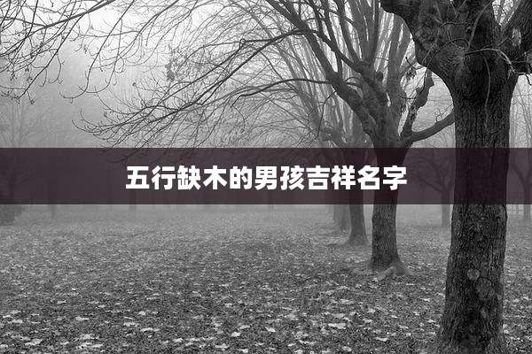 五行缺木的男孩吉祥名字