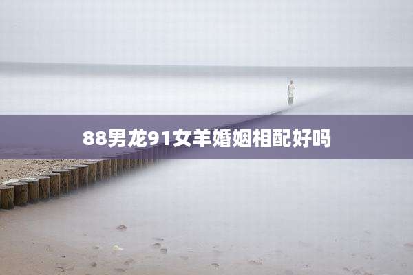 88男龙91女羊婚姻相配好吗