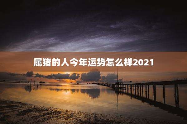 属猪的人今年运势怎么样2021