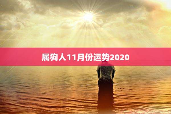 属狗人11月份运势2020