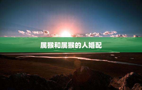 属猴和属猴的人婚配