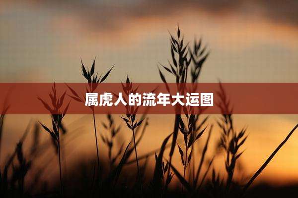 属虎人的流年大运图