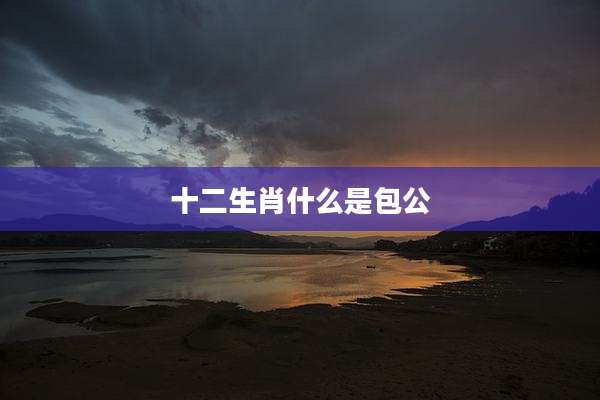 十二生肖什么是包公