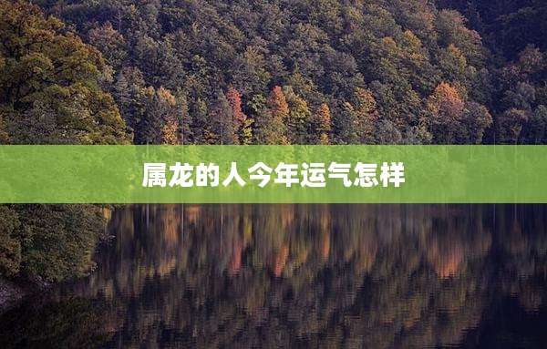 属龙的人今年运气怎样