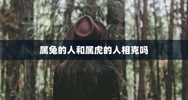属兔的人和属虎的人相克吗