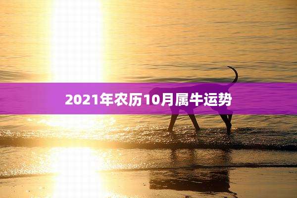 2021年农历10月属牛运势