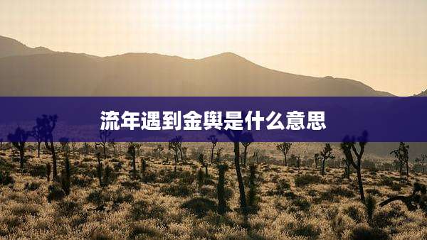 流年遇到金舆是什么意思