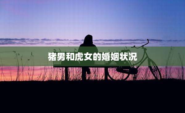 猪男和虎女的婚姻状况