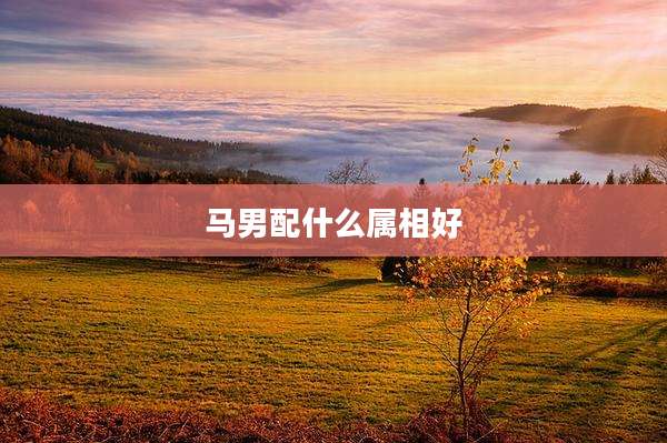 马男配什么属相好